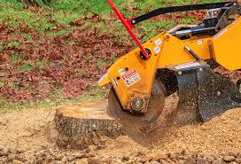 Best Lawn Renovation and Restoration  in St Marys, PA
